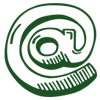 Video icon